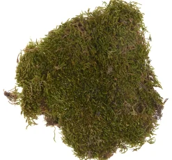 New VBS Plattenmoos, 50 g