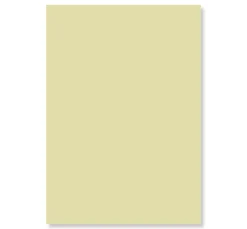 New POLI-TAPE Premium Flex IMAGE Luminous A4