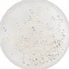 Online Rico Design Quetschperlen, Silber, 2 mm