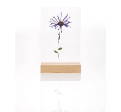 Outlet Rico Design Holzaufsteller mit doppelter Acrylscheibe, 13 x 18 cm