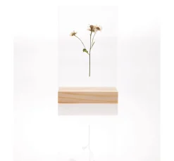 Outlet Rico Design Holzaufsteller mit doppelter Acrylscheibe, 13 x 18 cm