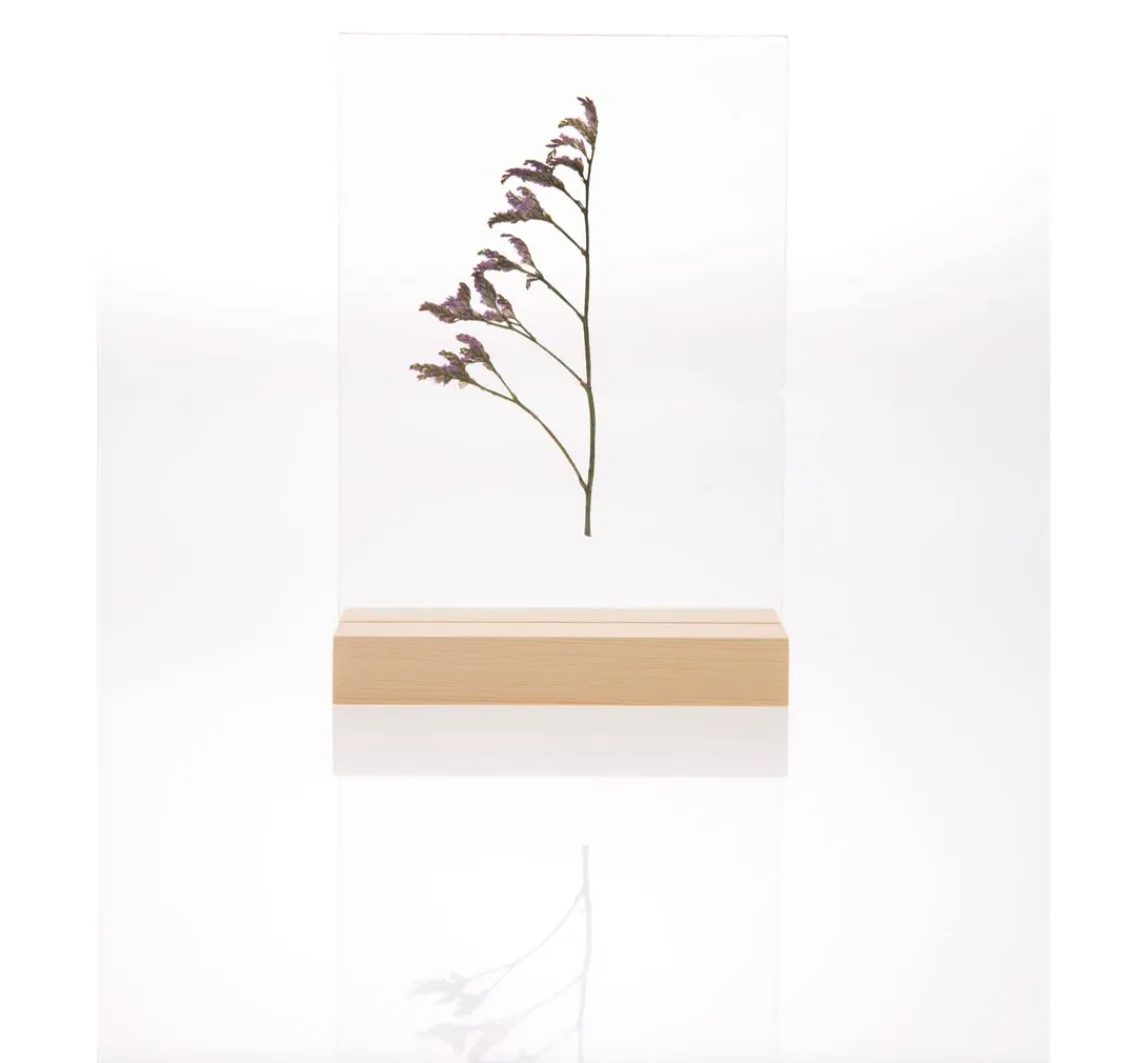 Outlet Rico Design Holzaufsteller mit doppelter Acrylscheibe, 13 x 18 cm