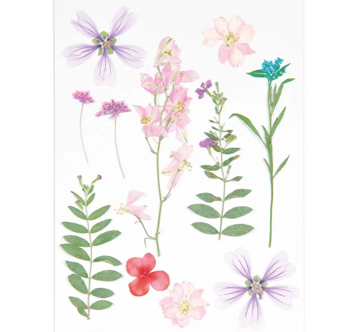 Online Rico Design Mix Set gepresste Blüten "Rosa Violett"