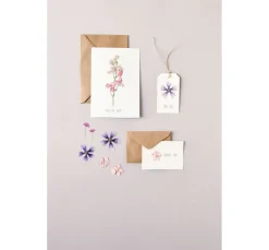 Online Rico Design Mix Set gepresste Blüten