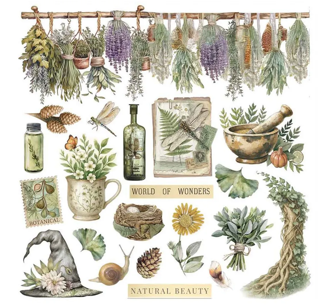 Discount Stamperia Rub On Sortiment "Herbarium Silvae"