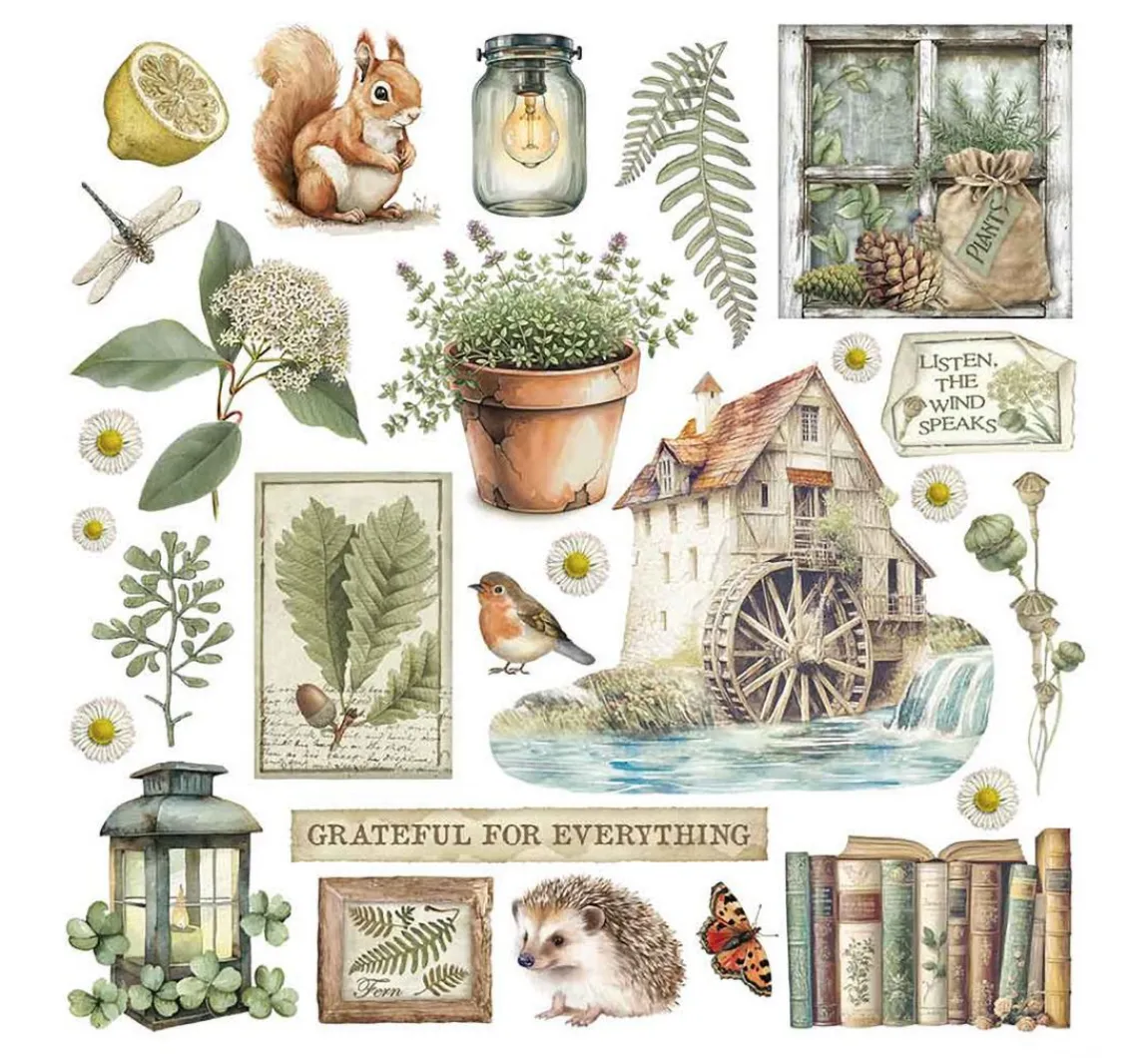 Discount Stamperia Rub On Sortiment "Herbarium Silvae"