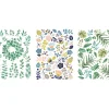 Clearance Rayher Rub On Transferfolie "Botanical"
