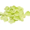 Discount ohne Marke Satin Rosenblatt "Nean"