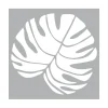 Online Pronty Crafts Schablone "Big Monstera Blatt"