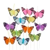 ohne Marke Schmetterling "Brasil"