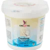 Clearance CREARTEC Schnellabformmasse, 500 g