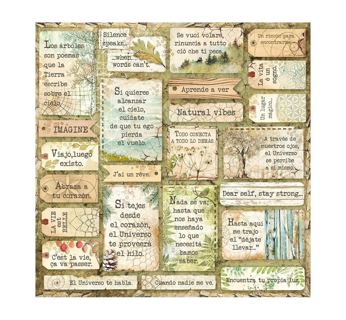 Clearance Stamperia Scrapbook-Block "Forest"