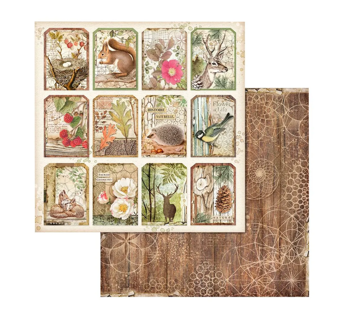 Clearance Stamperia Scrapbook-Block "Forest"