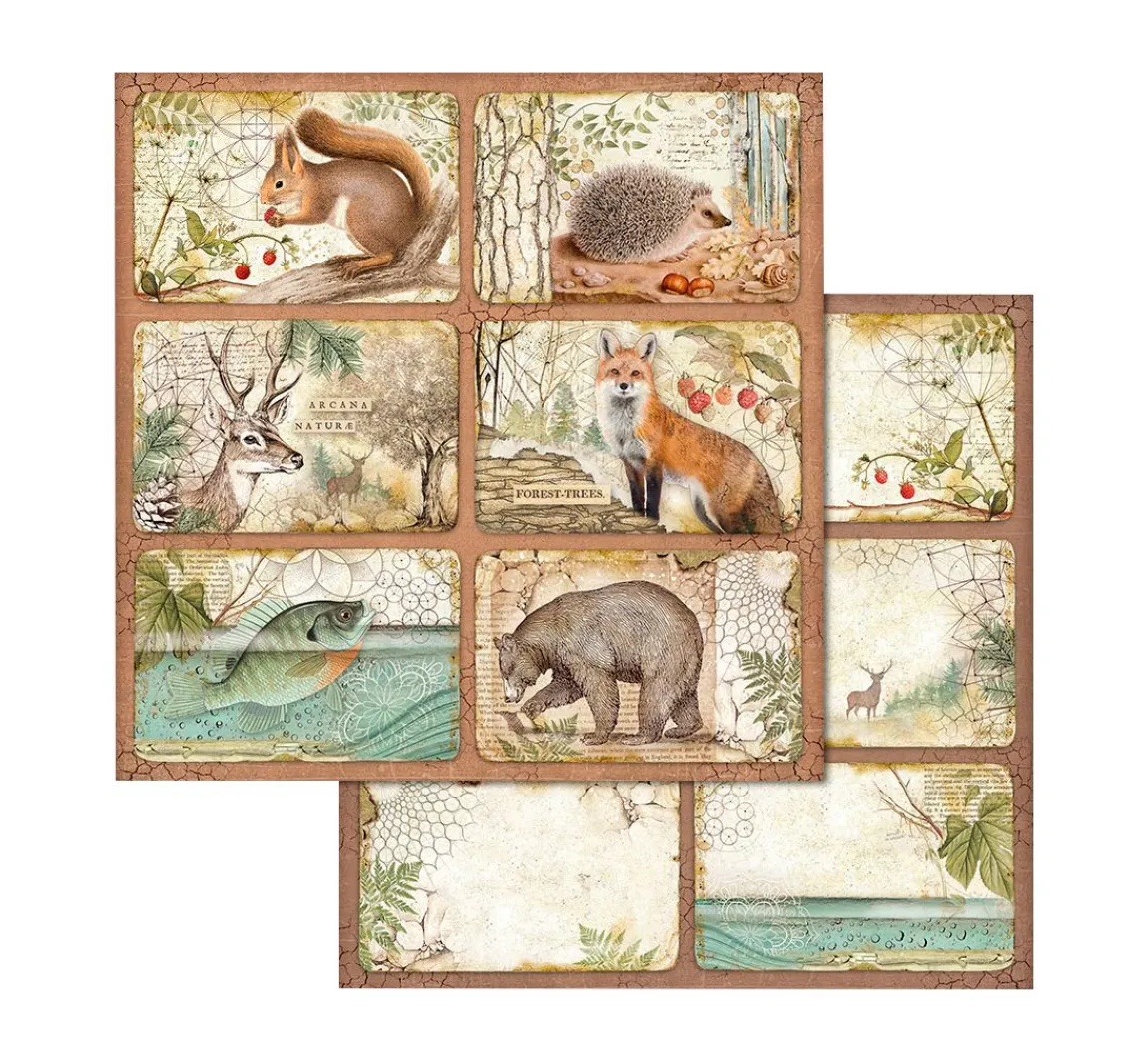 Clearance Stamperia Scrapbook-Block "Forest"