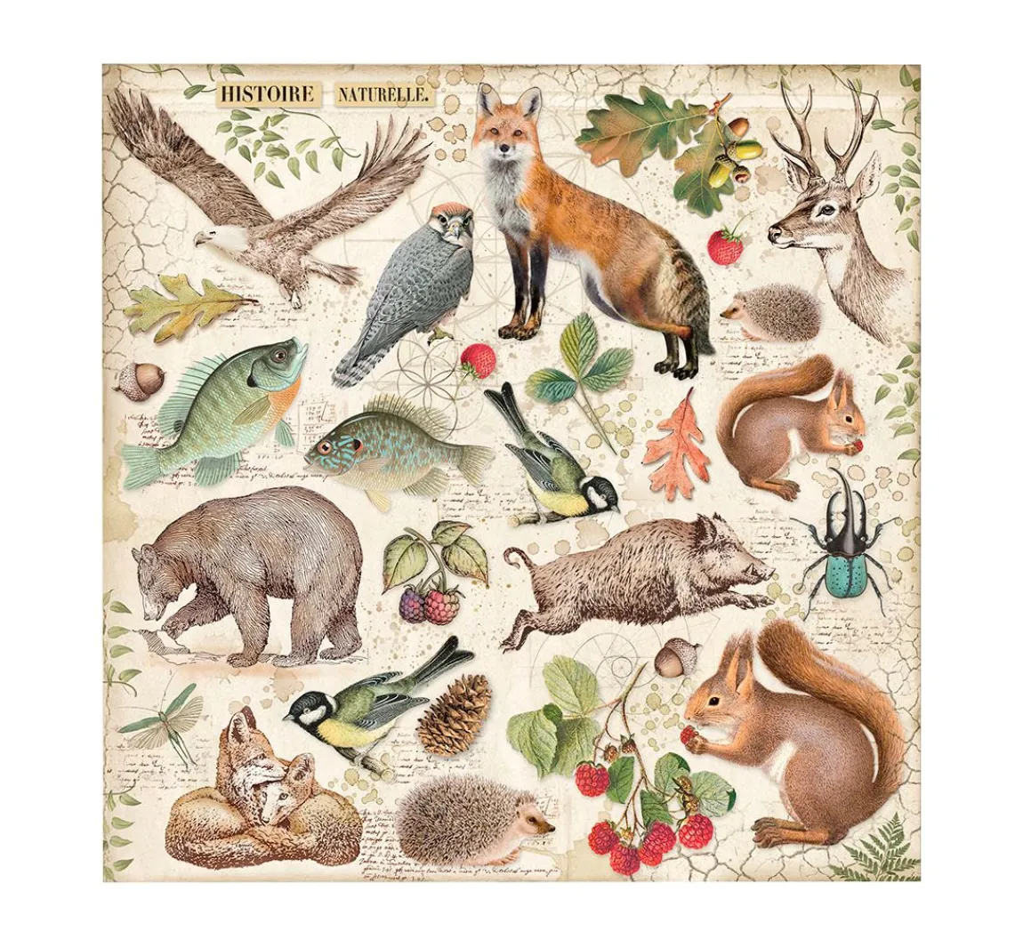 Clearance Stamperia Scrapbook-Block "Forest"