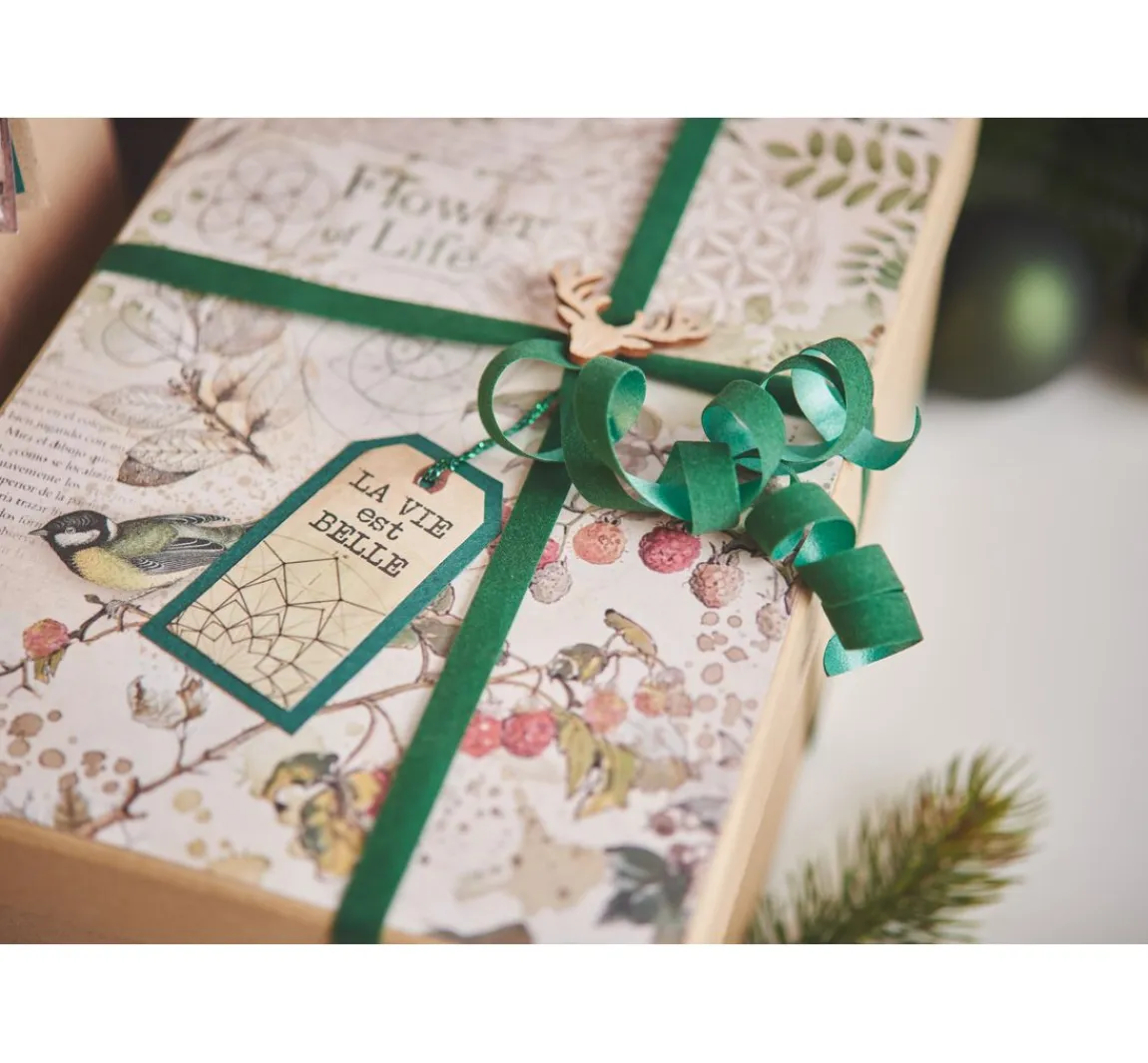 Clearance Stamperia Scrapbook-Block "Forest"