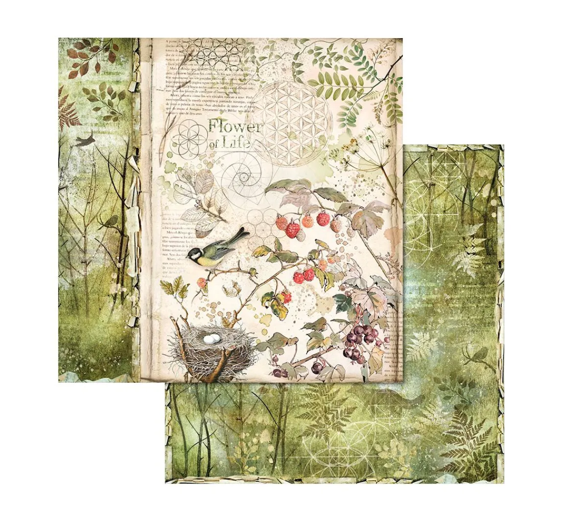 Clearance Stamperia Scrapbook-Block "Forest"