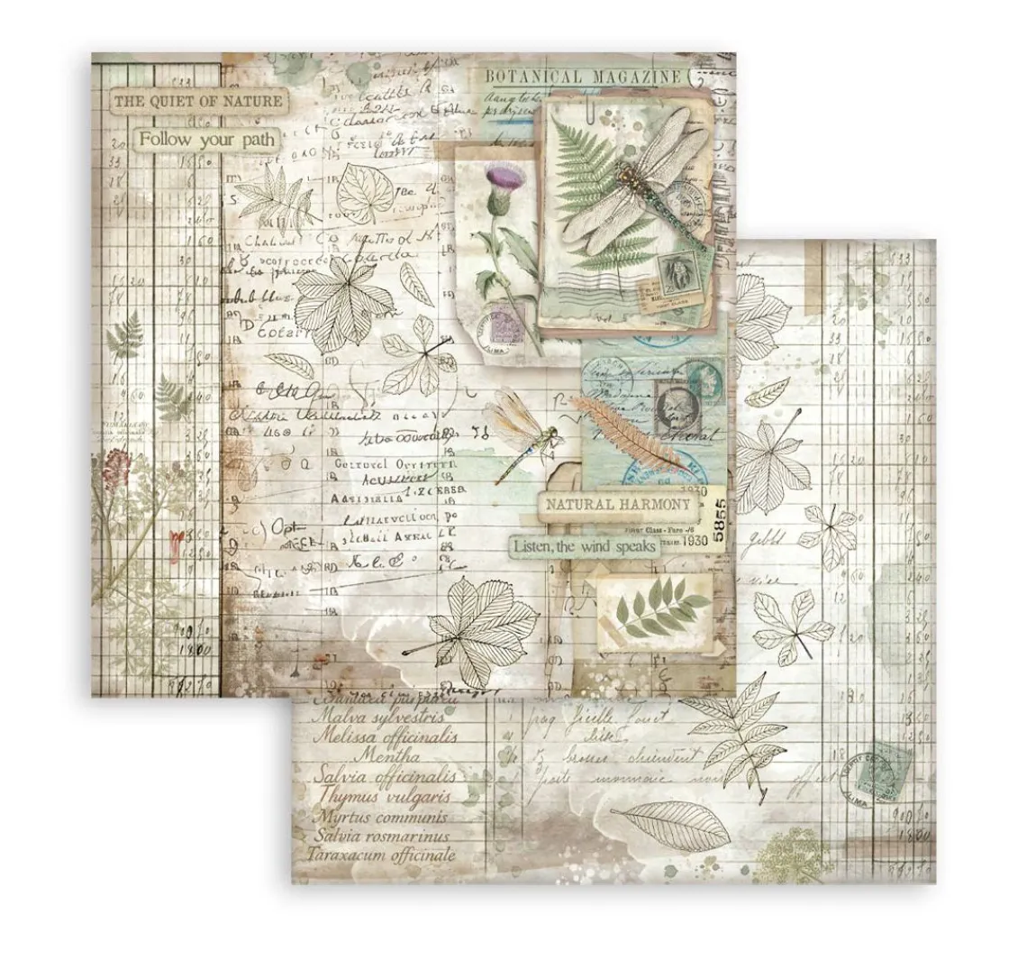 Hot Stamperia Scrapbook-Block "Herbarium Silvae"