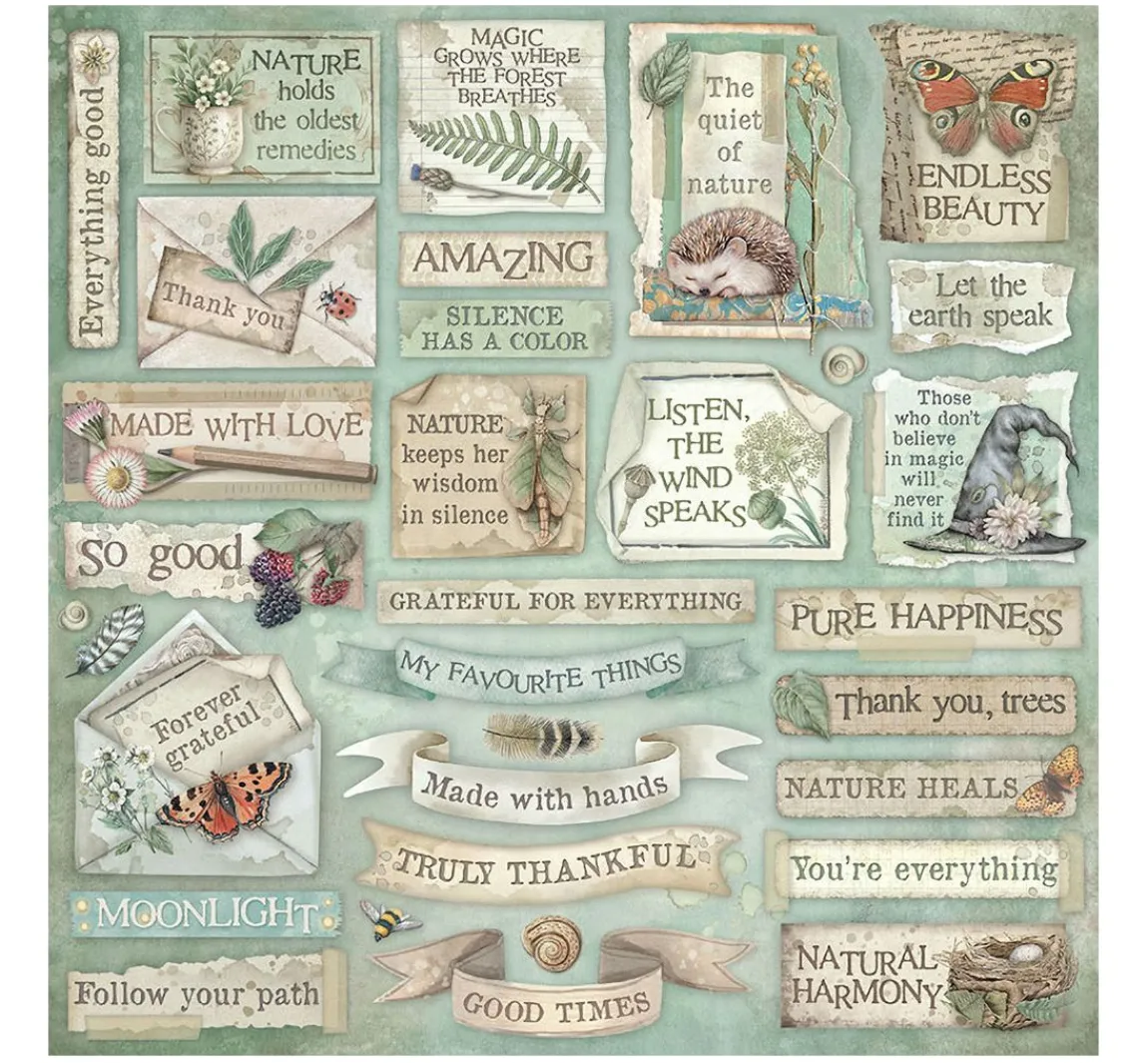 Hot Stamperia Scrapbook-Block "Herbarium Silvae"