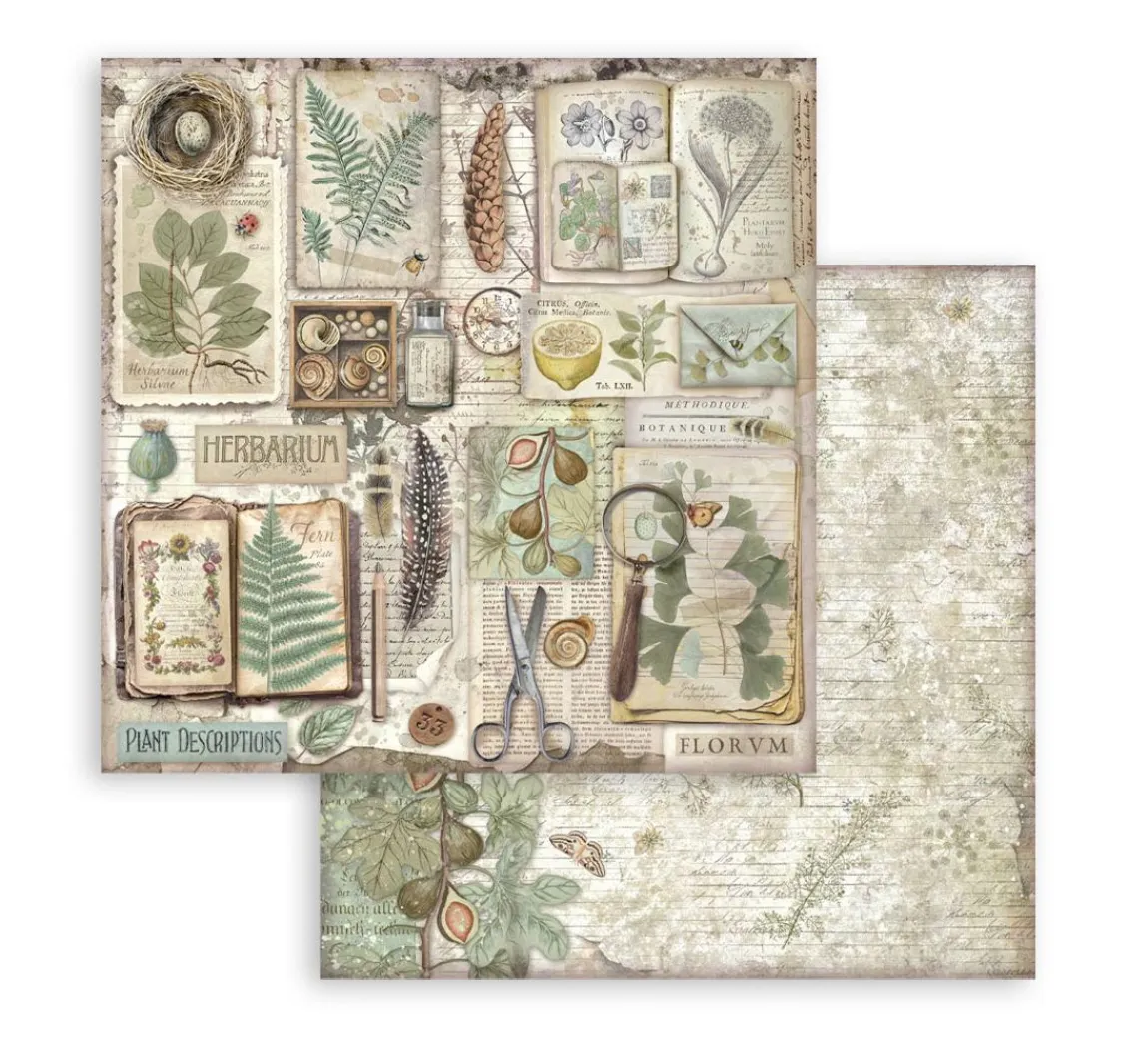 Hot Stamperia Scrapbook-Block "Herbarium Silvae"