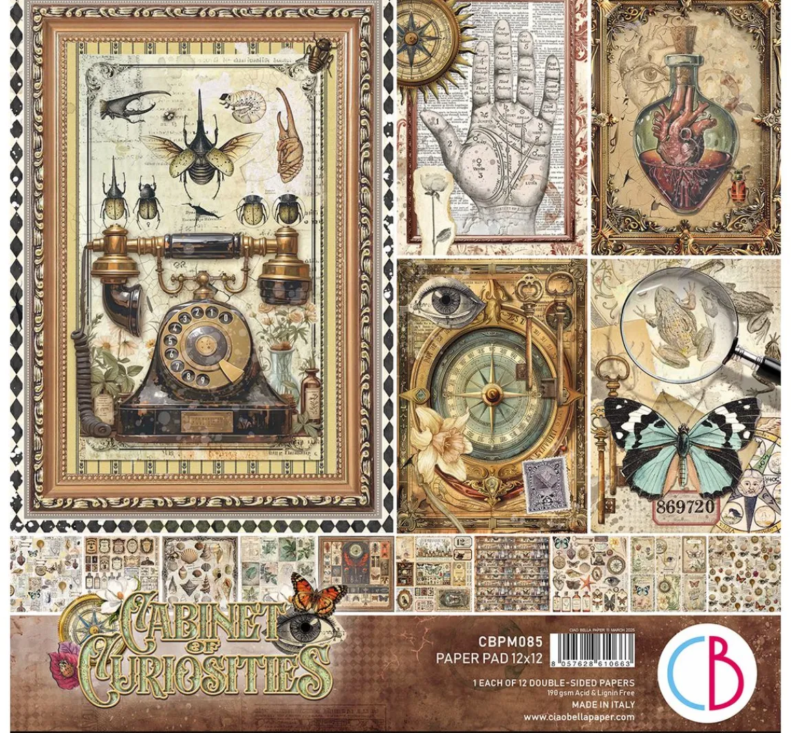 Hot Ciao Bella Scrapbook-Papier "Cabinet of Curiosities"
