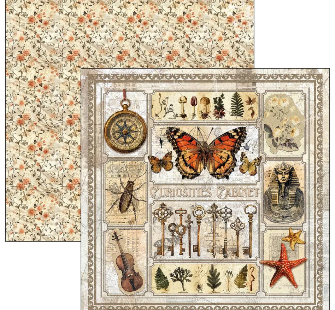 Hot Ciao Bella Scrapbook-Papier "Cabinet of Curiosities"