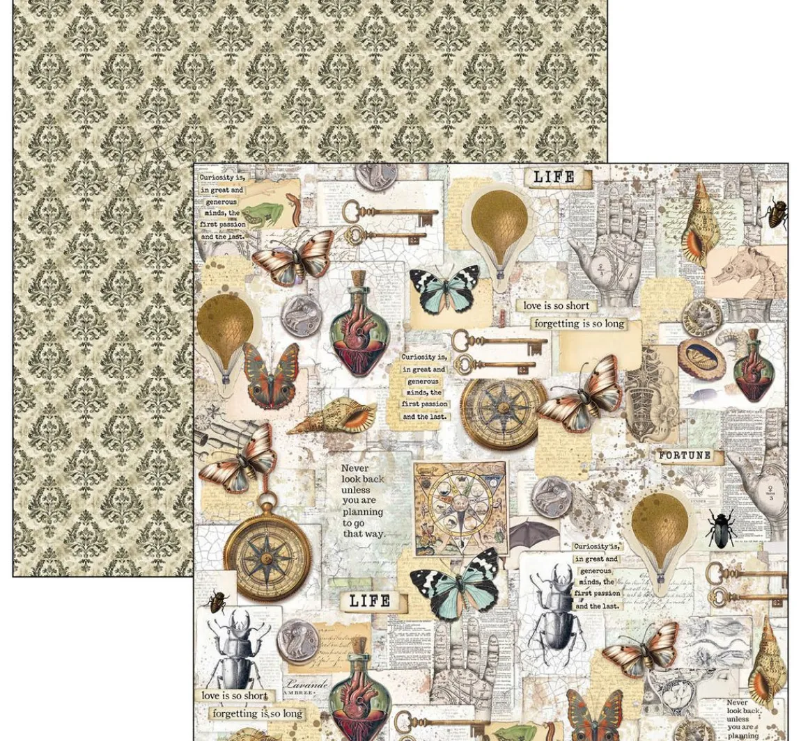 Hot Ciao Bella Scrapbook-Papier "Cabinet of Curiosities"