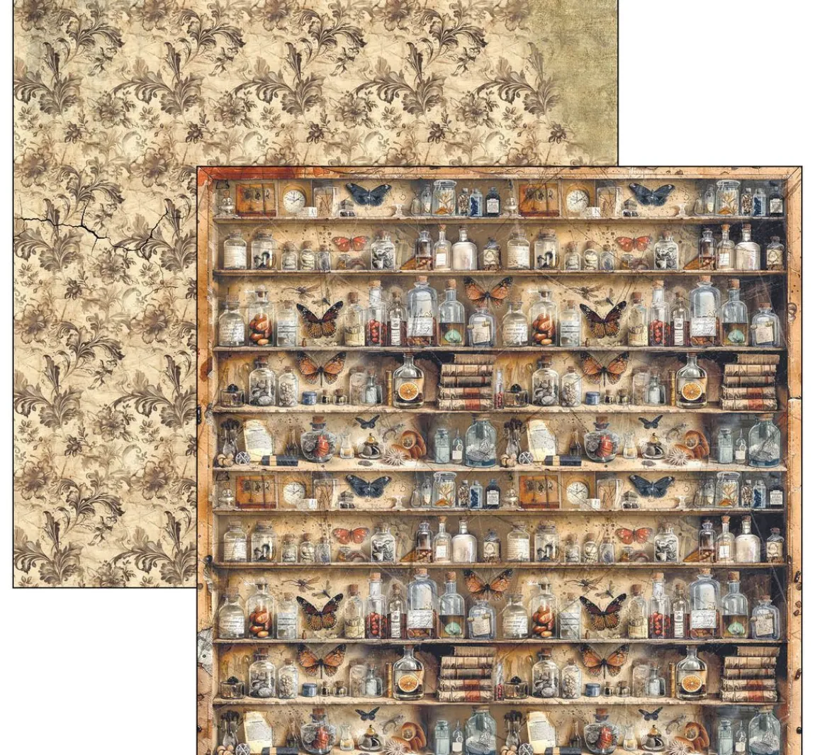 Hot Ciao Bella Scrapbook-Papier "Cabinet of Curiosities"