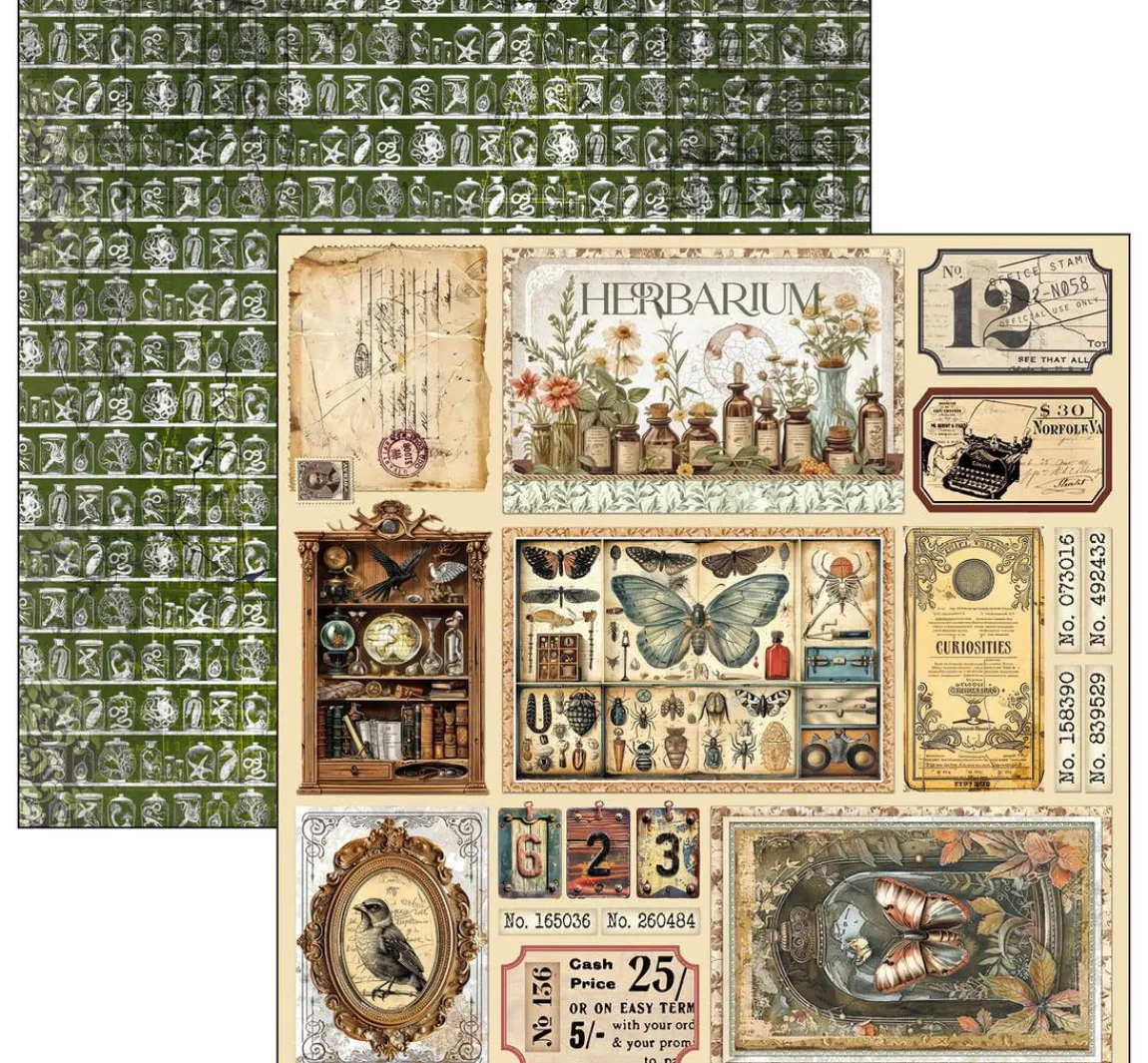 Hot Ciao Bella Scrapbook-Papier "Cabinet of Curiosities"