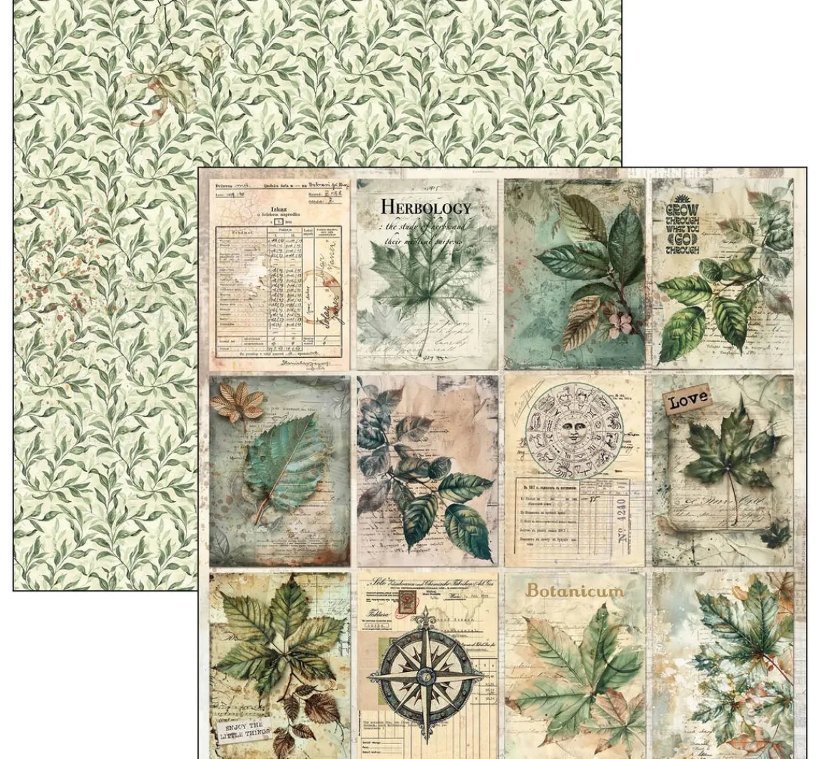 Hot Ciao Bella Scrapbook-Papier "Cabinet of Curiosities"