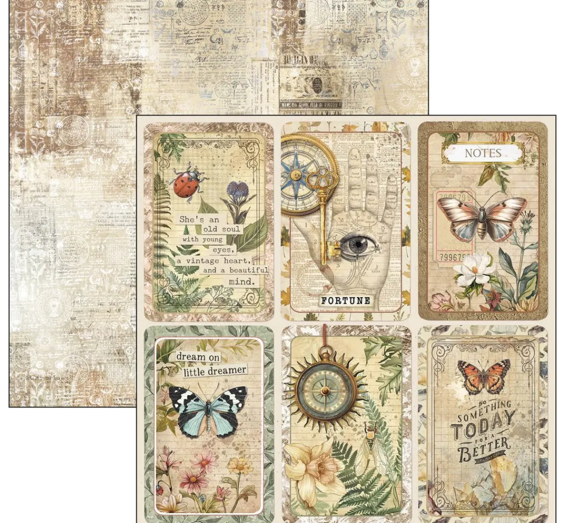 Hot Ciao Bella Scrapbook-Papier "Cabinet of Curiosities"