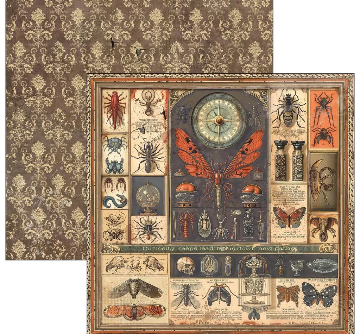 Hot Ciao Bella Scrapbook-Papier "Cabinet of Curiosities"