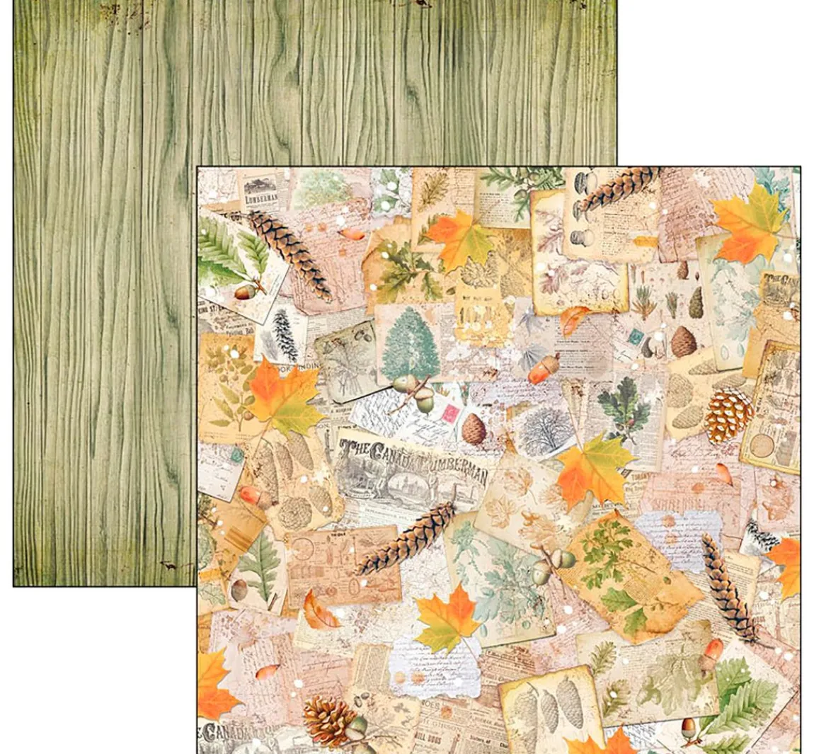 Ciao Bella Scrapbook-Papier "Into the Wild"