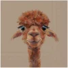 Discount IHR Serviette "Alpaca Fernando"