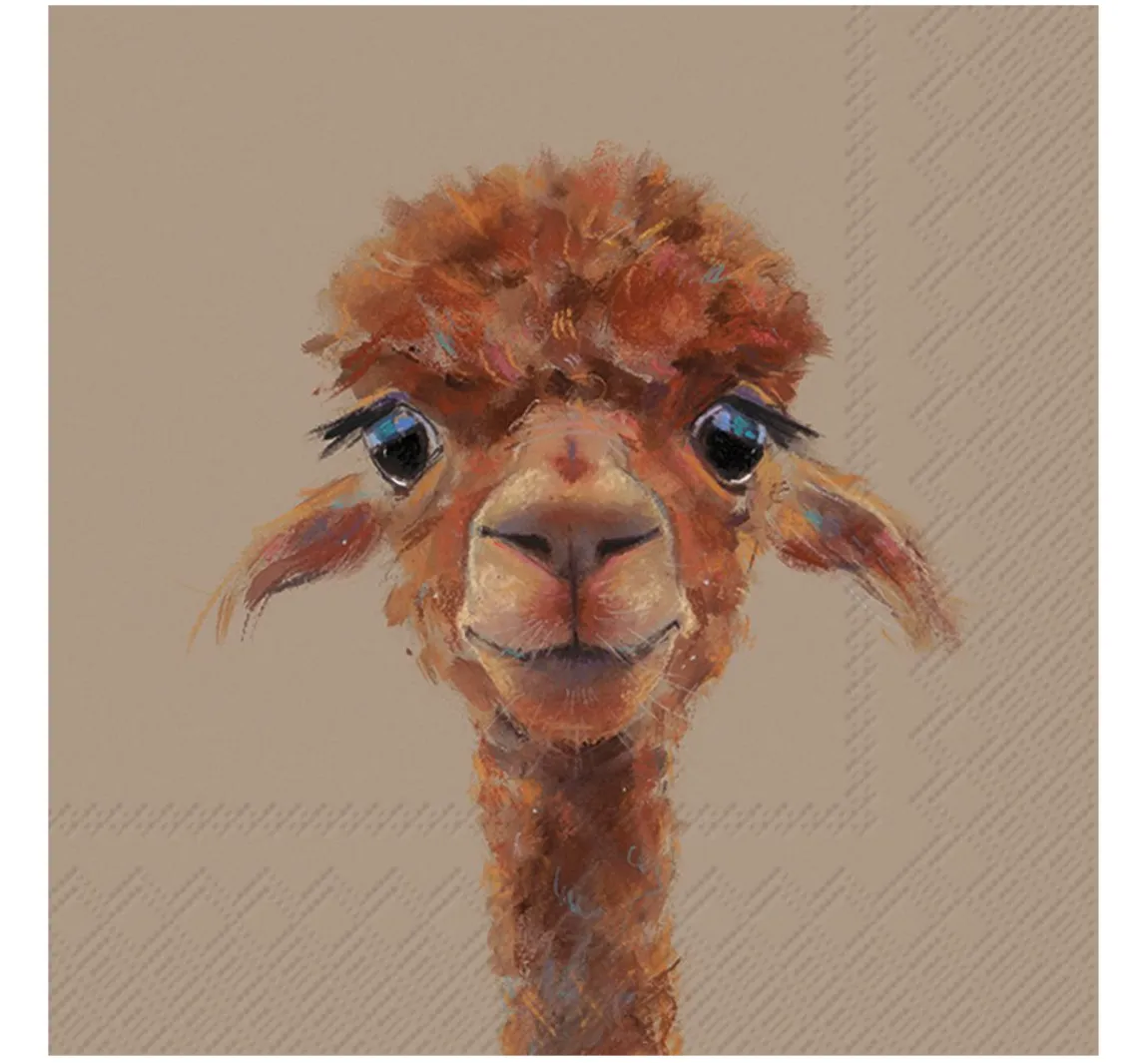 Discount IHR Serviette "Alpaca Fernando"