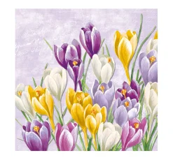 Clearance IHR Serviette "Blühender Krokus"