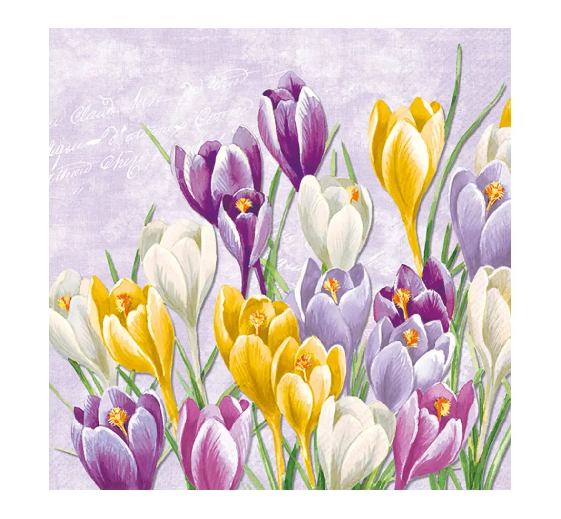 Clearance IHR Serviette "Blühender Krokus"
