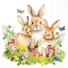 Discount Ambiente Serviette "Bunny Family"
