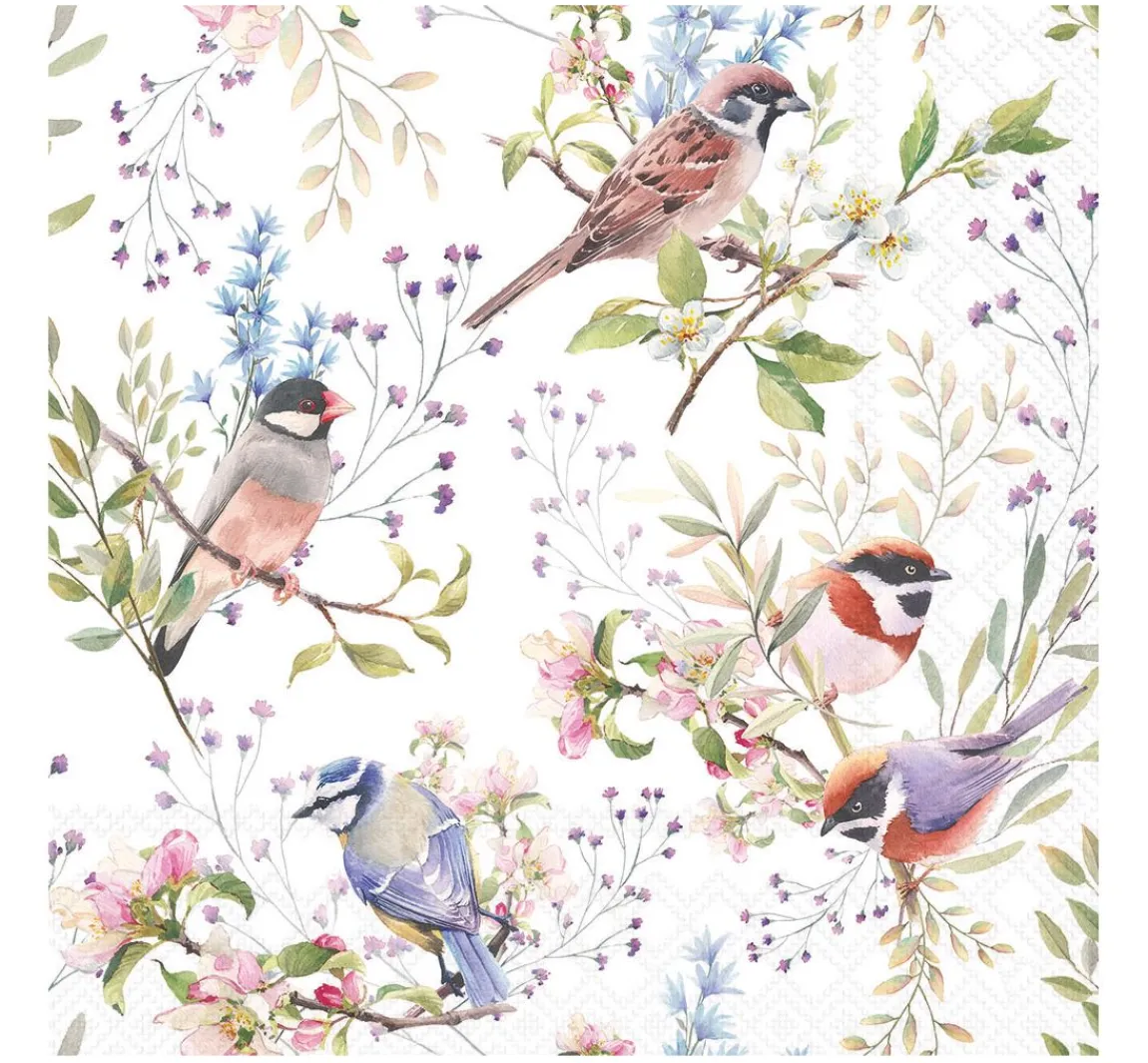 Sale Ambiente Serviette "Busy Birds"
