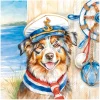 Best IHR Serviette "Captain Jack"
