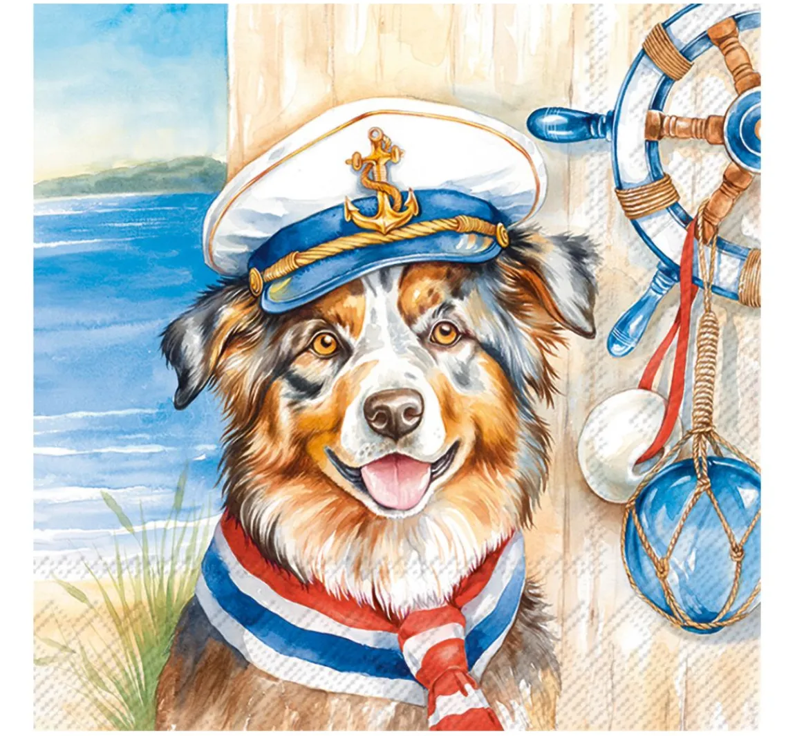 Best IHR Serviette "Captain Jack"