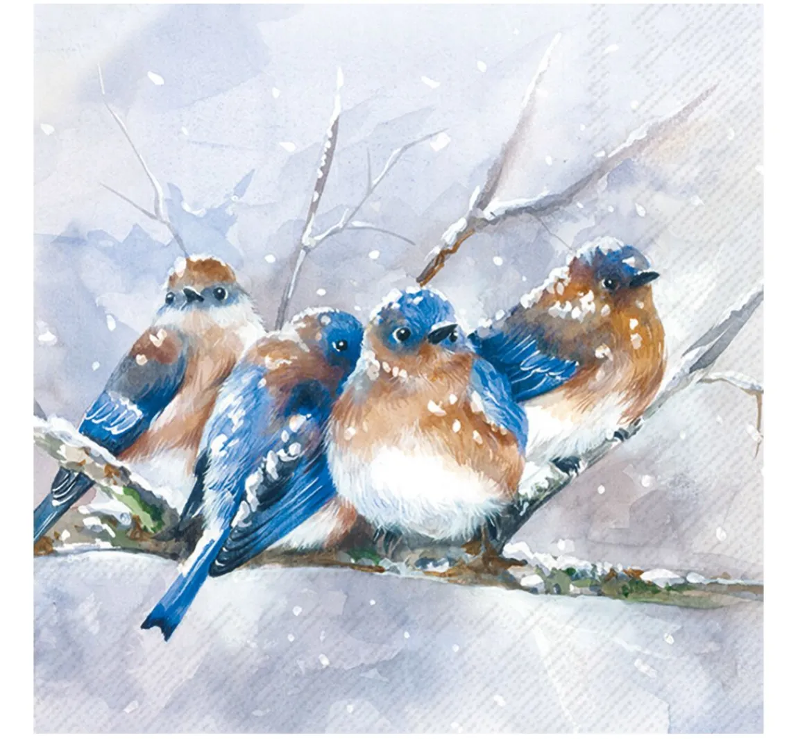 IHR Serviette "Cuddly Birdies"