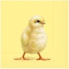Best IHR Serviette "Easter Chick"