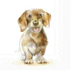 Clearance IHR Serviette "Fritz"