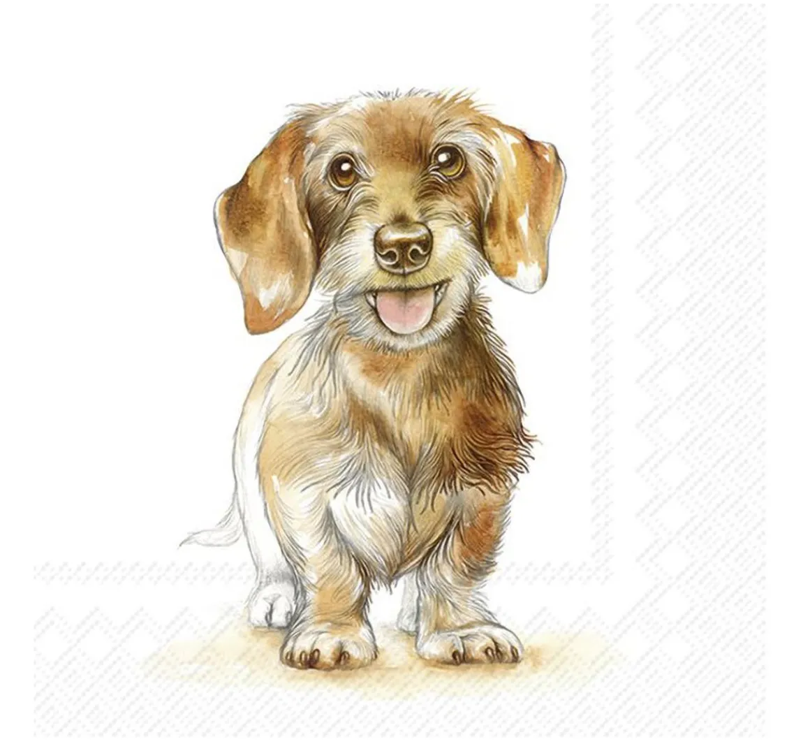 Clearance IHR Serviette "Fritz"
