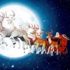 Clearance Paper+Design Serviette "Lunar Xmas"