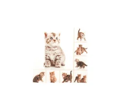 Online HOME FASHION Serviette "Miezekatzen"