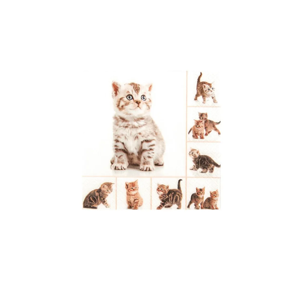 Online HOME FASHION Serviette "Miezekatzen"