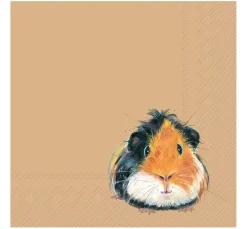 Clearance IHR Serviette "Pedro"