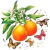 Outlet Paper+Design Serviette "Schmetterlinge & Orangen"